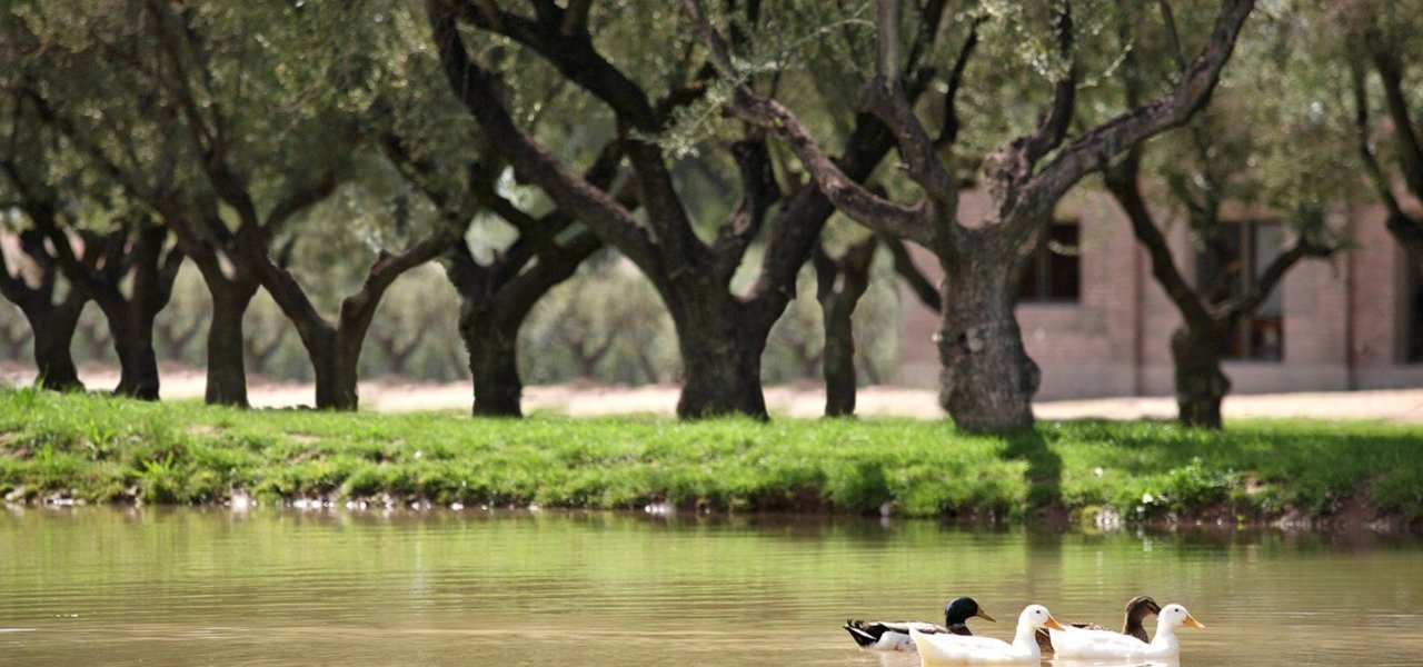visit bodega trapiche